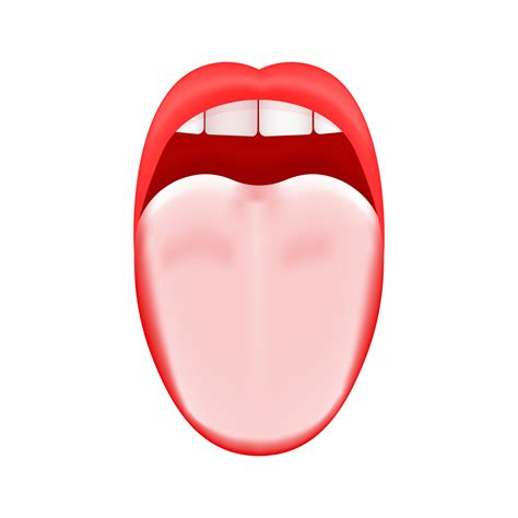 White or coated tongue. Dry mouth. Open human taste organ with symptoms