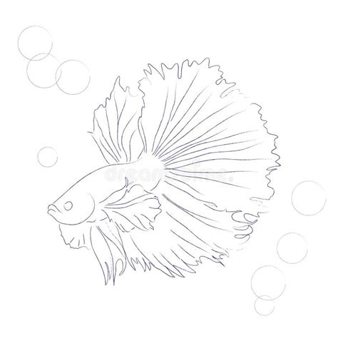 Art Beta Fish Stock Illustrations – 441 Art Beta Fish Stock ...