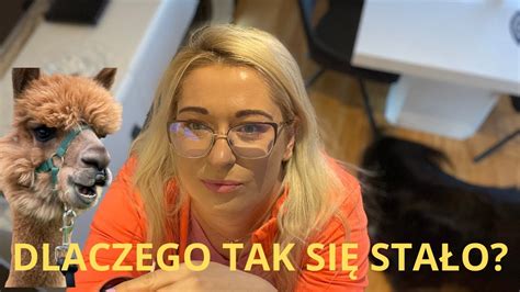 CO SIĘ STAŁO ŻE ZNIKNĄŁ KTO TO ZROBIŁ ZNIKAJĄCE KOMENTARZE YouTube