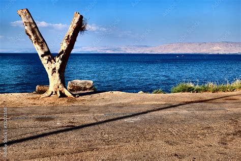 Lac de Tibériade Israel Stock Photo Adobe Stock