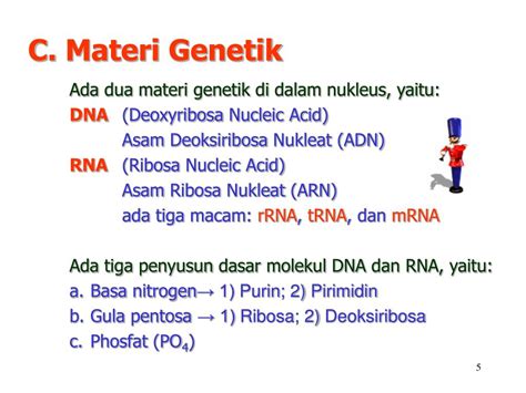 PPT Materi A Struktur Dan Fungsi Nukleus B Biosintesis Nukleus C