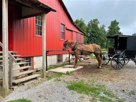 Navigating Ohio's Amish Country: The Best Things To Do, Where To Stay ...