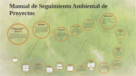 Informes De Cumplimiento Ambiental Ica By Zary Juliana Cardenas