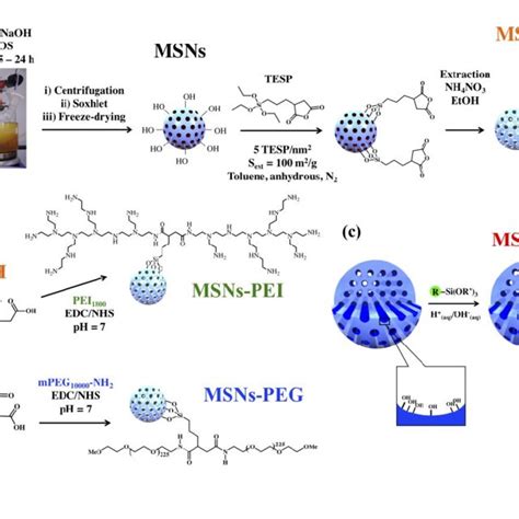 Spectroscopic Characterizations Of The Mesoporous Silica Nanoparticles