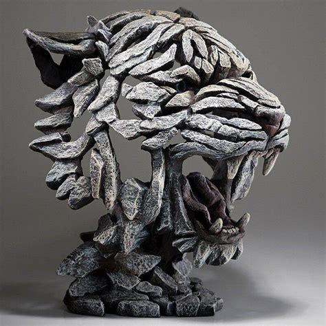 Tiger Bust Siberian Edb02w Edge Sculpture By Matt Buckley