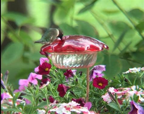 Flower Pot Hummingbird Feeder - Etsy