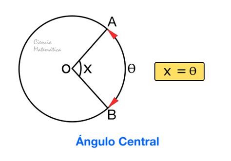 🥇 Ángulos En La Circunferencia【definición Y Ejercicios】