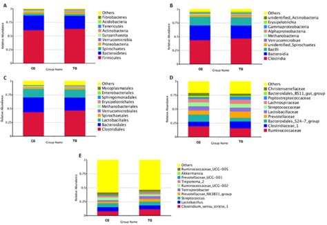 Percent Relative Abundance Of The Ten Most Abundant Phyla A Classes