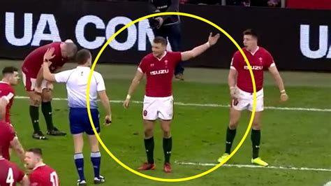 Video hilariously ridicules Dan Biggar for his constant whining | Rugby ...