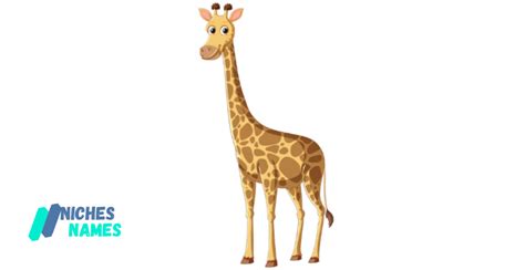 550+ Giraffe Names Creative Unique Funny Cool & Cute Ideas