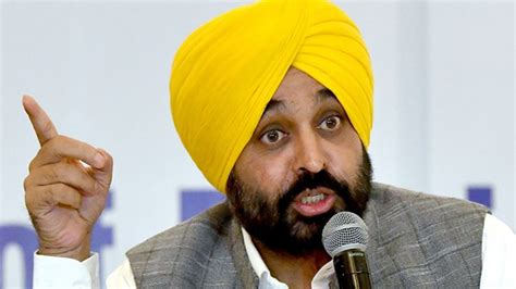 India News Bhagwant Mann Govt Bans Public Display Of Firearms Songs