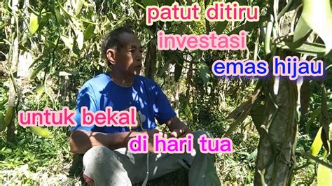 Investasi Emas Hijau Untu Bekal Di Hari Tua YouTube