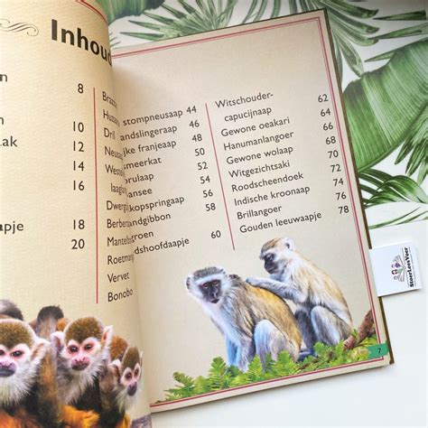 Het Allermooiste Boek Over Apen Weetjesboek Stoerleesvoer