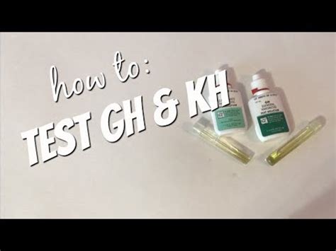 How To Test GH And KH YouTube