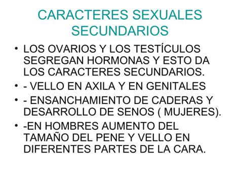 Sexualidad Humana Partes Gen Erotis Primero Secu Ppt