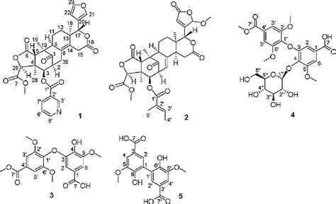 chemical structures  compounds    scientific diagram
