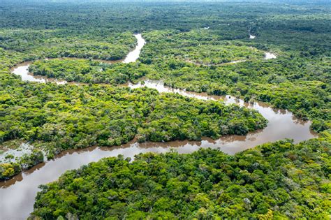 Mapa De La Selva Amazónica Para Niños