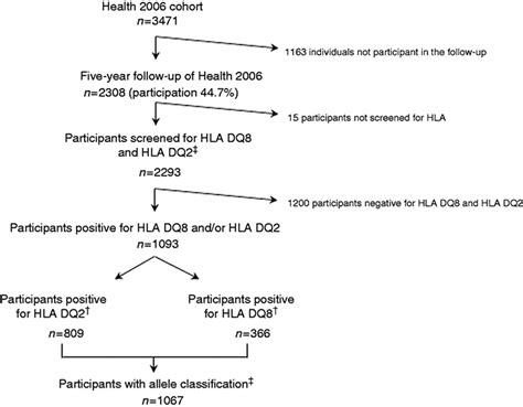 The Distribution Of Hla Dq2 And Dq8 Haplotypes And Their Association