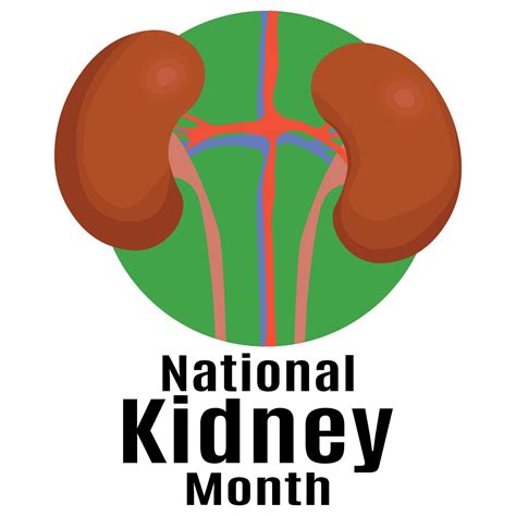 National Kidney Month Idea For A Poster Banner Flyer Or Postcard On