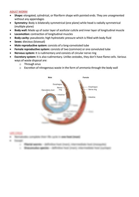 Solution Nematodes I Intestinal Nematodes Studypool