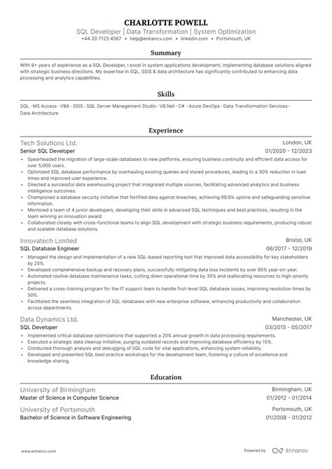 Sql Developer Cv Examples Guide For