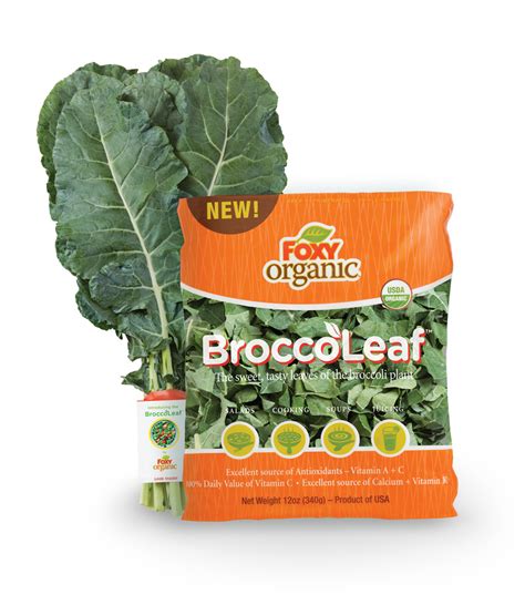 Up Close With Foxy Organic Produces Broccoleaf