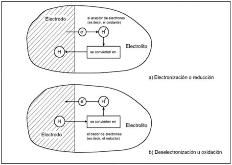 Modelamiento y Simulación de la Producción de Hidrógeno en un