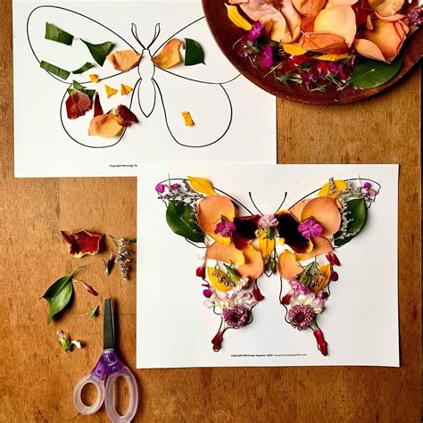 Use Our Free Moth And Butterfly Templates To Practice Symmetry With