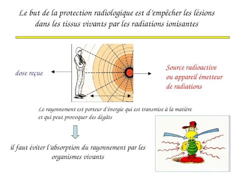 PPT Le but de la protection radiologique est dempêcher les lésions