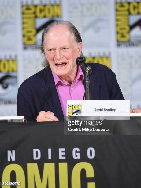 1181 David Bradley American Actor Stock Photos High Res Pictures