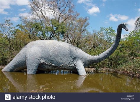 diplodocus high resolution stock photography  images alamy
