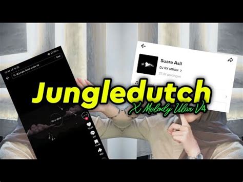 Dj Jungledutch X Melody Ular V Sound Dj Rx Viral Tiktok Youtube