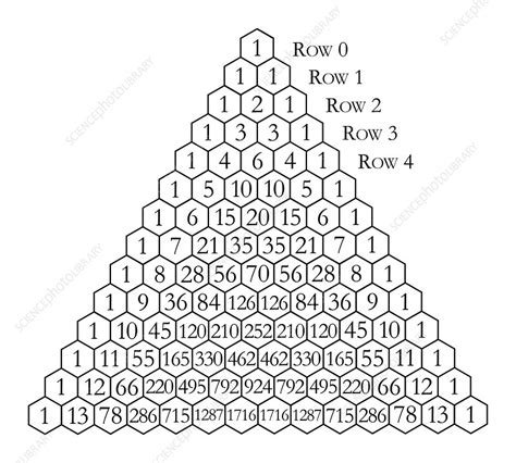 Pascals Triangle Stock Image A9000148 Science Photo Library