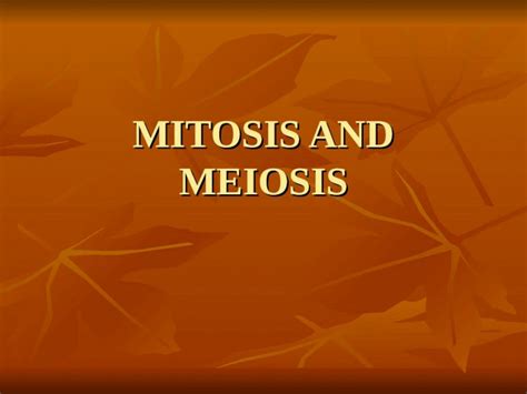 Ppt Mitosis And Meiosis Cell Replication Eukaryotic Cell Replication