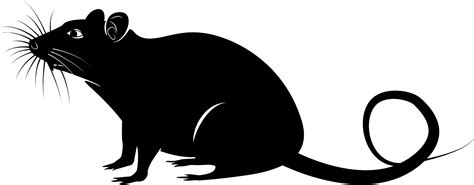 Rat mouse silhouette clipart image – Clipartix