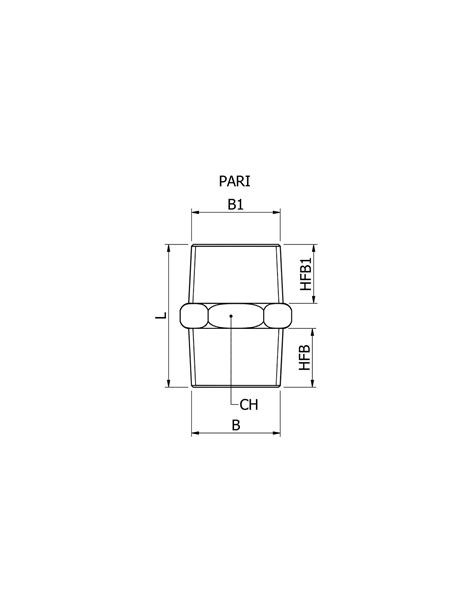 AX 22K NPT Mamelon Double Conique NPT NPT INOX AISI 316 Aera