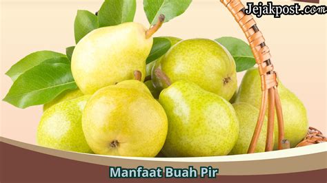 Panduan Lengkap Manfaat Buah Pir Untuk Kesehatan Mulai Dari Nutrisi