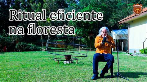 Como Realizar Um Ritual Eficiente Na Floresta Associa O Brasileira