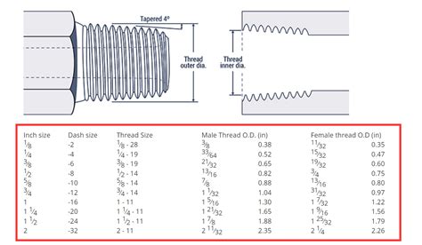 How to Identify BSP Thread - Hydraxio: China SS Hydraulic Fittings ...