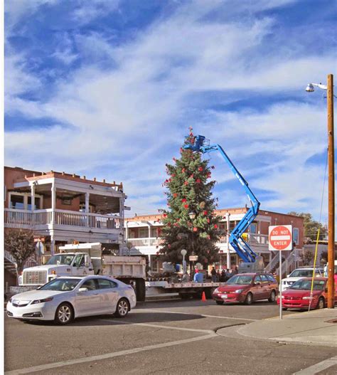 WordShaping: Old Town Albuquerque Christmas Tree