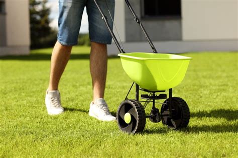 5 Tips For Best Results When Overseeding Your Lawn