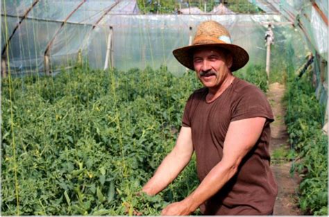 Greenhouse farming and Gospel sharing - Mission Network News