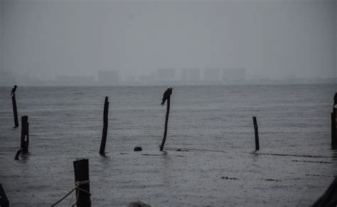 Tormenta Tropical Se Convertir En Cicl N Beatriz Conagua