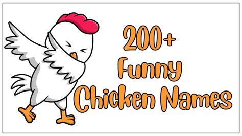 Funny Chicken Names Hilarious Ideas For Your Backyard Birds