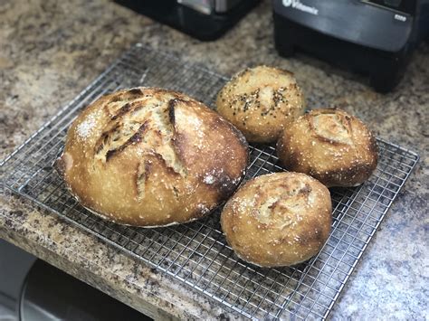 Homemade Salted Sourdough Loaf And Mini Sourdough Loaves Rfood