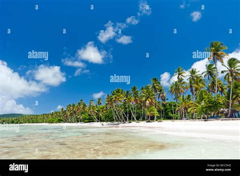 Beautiful Tropical Caribbean Beach On Samaná Peninsula Dominican