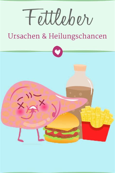 Fettleber Ursachen Symptome Und Heilungschancen Health