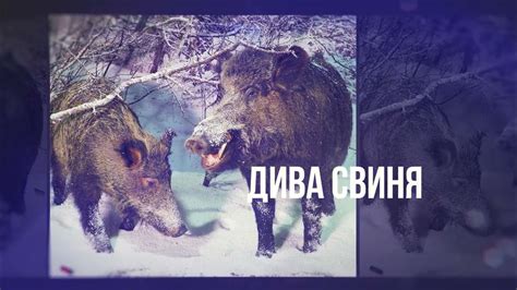 Екомузей с аквариум - Гори - YouTube