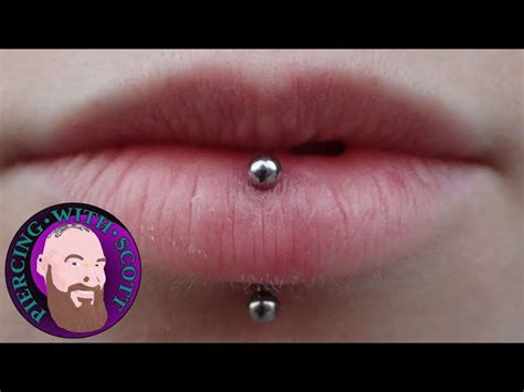 Vertical Labret Piercing Infoupdate Org