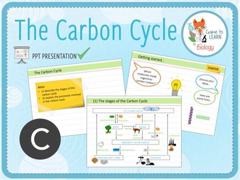 4x Carbon And Nitrogen Cycle 2x Powerpoint Ppts And 2x Worksheets Ks3ks4 Teaching Resources